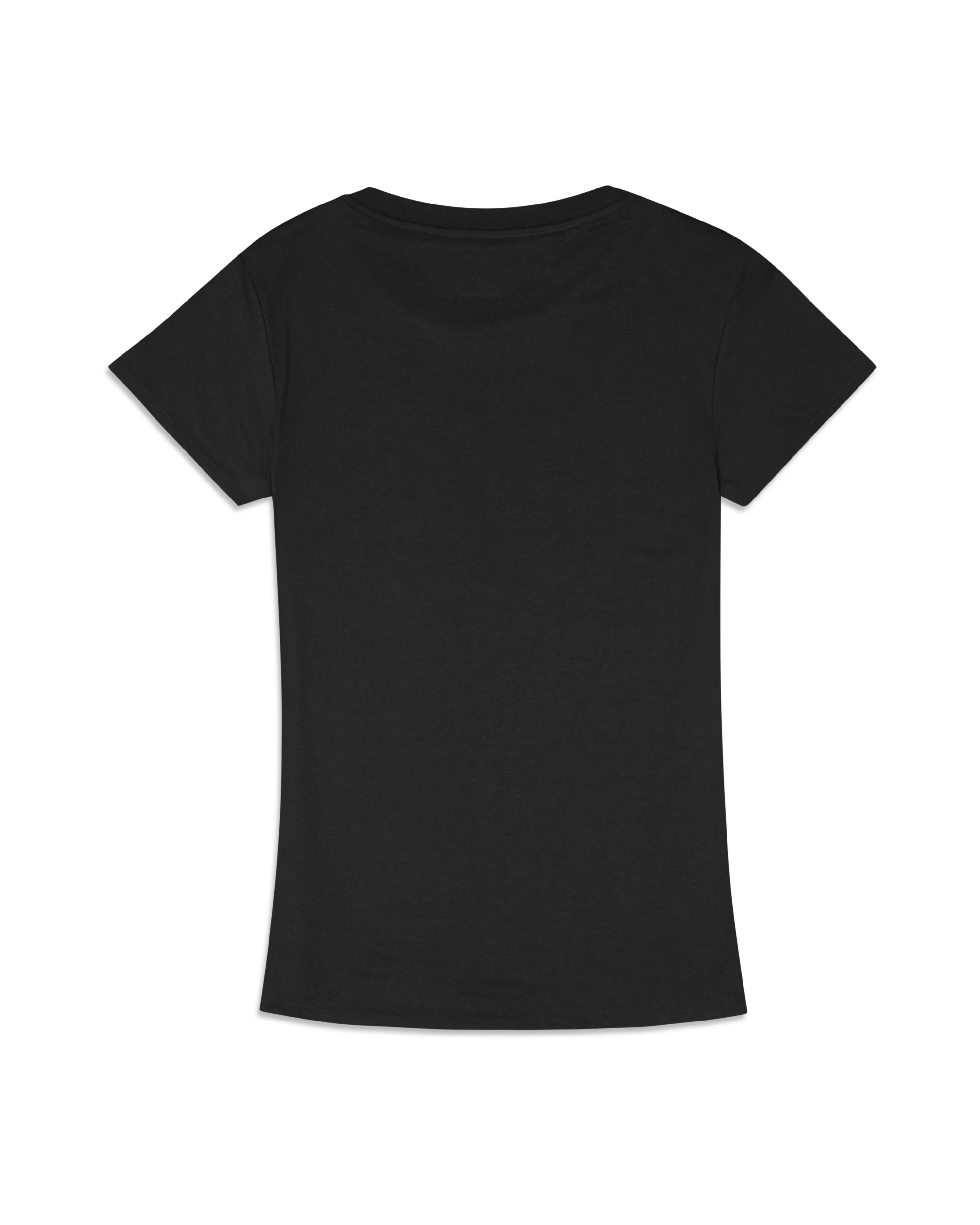 Erie SeaWolves NEC Moon Mammoths Women's V-Neck Tee - Image 2